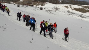 2017 (9) RACCHETTE IN COPPO DELL'ORSO